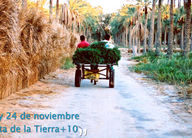 10º Aniversario de la Carta de la Tierra